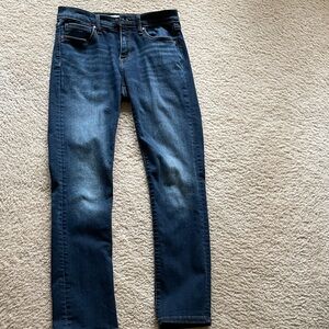 Banana Republic Straight Jean